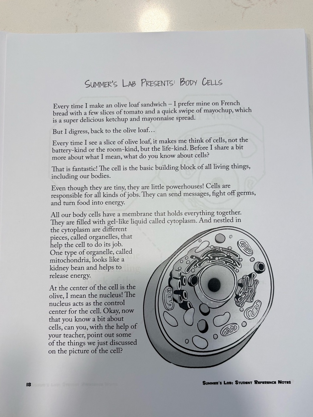Summers Lab Learning Notes - Picture 8 of 9